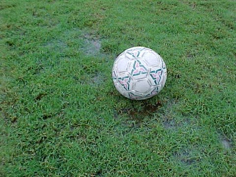 soggy-soccer-field