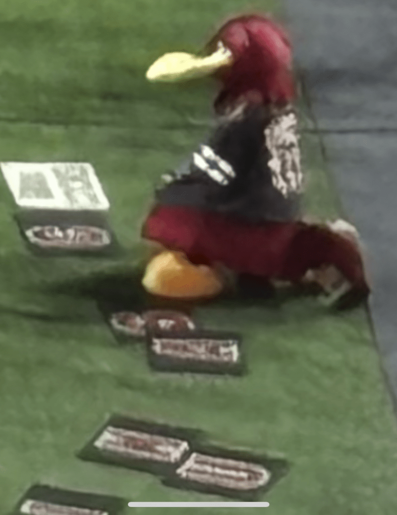 Cocky, the University of South Carolina Gamecocks mascot, kneels, saddened that the team is down 10-7 and would eventually lose 20-10.